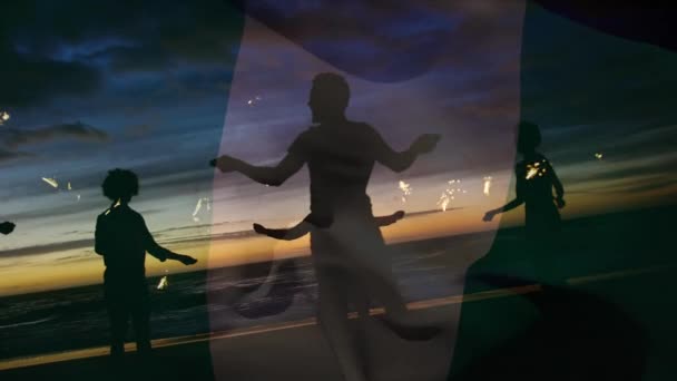 Animazione Sventolare Bandiera Della Nigeria Gruppo Amici Che Divertono Sulla — Video Stock