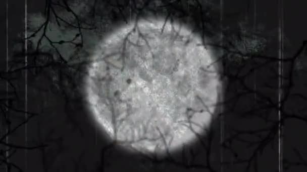 Animacja Halloween Straszne Zakłócenia Nad Księżycem Gałęzie Drzew Czarnym Tle — Wideo stockowe