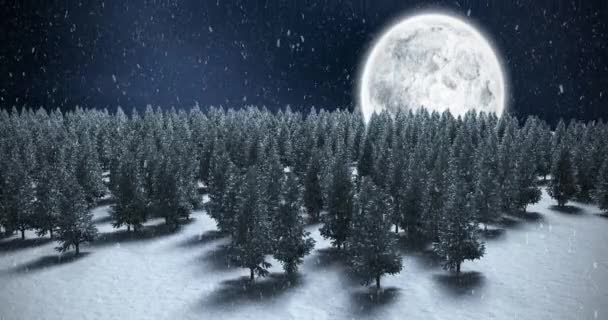 Animace Sněhu Padajícího Přes Zimní Noční Krajinu Jedlemi Vánoční Zimní — Stock video