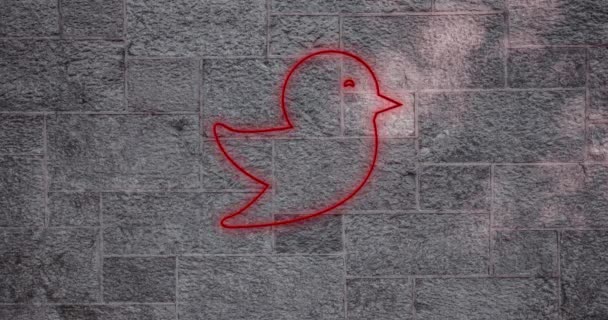 Animation Glowing Neon Bird Icon Brick Wall Social Media Communication — Stock Video