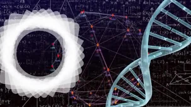 Animering Nätverk Anslutningar Matematiska Ekvationer Och Dna Strängen Över Svart — Stockvideo