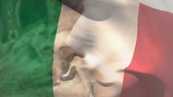 Анимация Флага Италии Над Разнообразными Солдатами Мужского Пола Армия Гражданская — стоковое видео