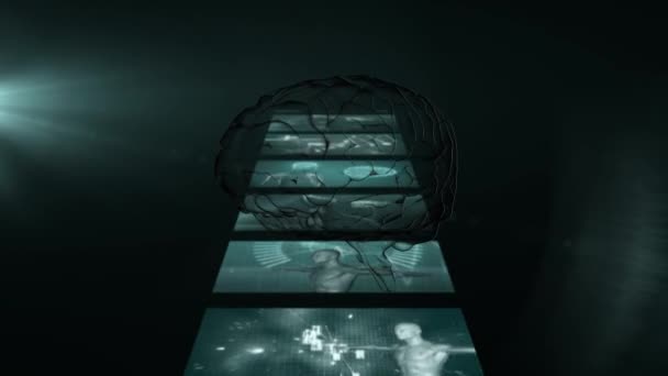 Анимация Человеческого Мозга Вращающегося Над Экранами Обработкой Научных Данных Глобальная — стоковое видео