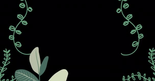 Animáció Növények Növekvő Fekete Háttérrel Környezetvédelem Fenntarthatóság Ökológia Megújuló Energia — Stock videók