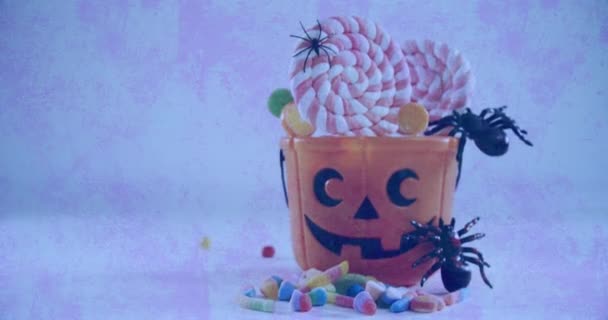ハロウィーンの恐ろしいカボチャのバケツのクモやキャンディーは 質感の白い背景に対して ハロウィンお祝いのコンセプト — ストック動画