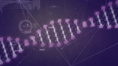 Mor arkaplanda dönen DNA iplikçikli bağlantılar ağının animasyonu. küresel bağlantılar ve dijital arayüz konsepti dijital olarak oluşturulmuş video.