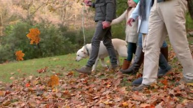 Sonbahar akçaağaç yapraklarının dijital bileşimi, parkta yürüyen beyaz bir ailenin üzerinde yüzen ikonlar bırakır. Şükran günü kutlaması ve sonbahar mevsimi konsepti
