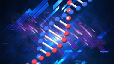 Siyah arkaplandaki mavi karelerin üzerinde DNA ipliği ve mor çizgilerin animasyonu. küresel bağlantılar, teknoloji, veri işleme ve dijital arayüz konsepti dijital olarak oluşturulmuş video.
