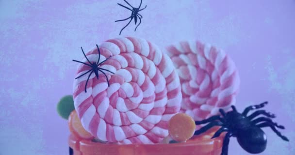 Animación Arañas Plásticas Sobre Cubo Calabaza Naranja Caramelo Sobre Fondo — Vídeos de Stock