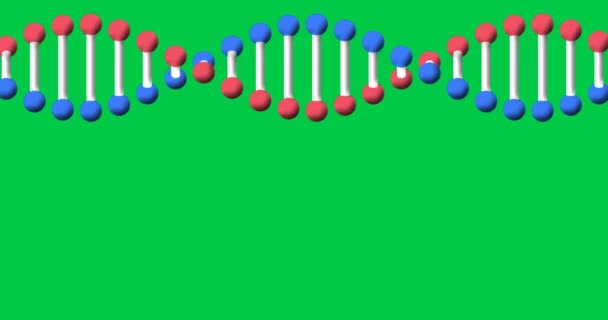 动画Dna链旋转与复制空间在绿色屏幕上 全球科学概念数码视频 — 图库视频影像