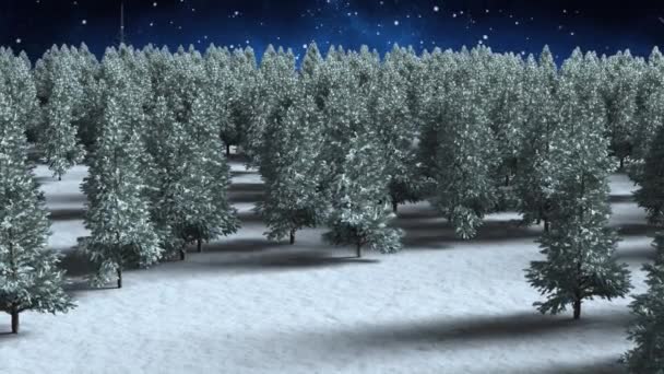 雪は夜空の月に対する冬の風景の上に複数の木の上に落ちる クリスマス フェスティバルとお祝いのコンセプト — ストック動画