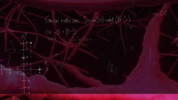 Animation Von Nervenverbindungen Über Mathematische Gleichungen Auf Der Tafel Wissenschaft — Stockvideo