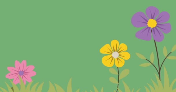 Animación Flores Verde Con Los Pies Sobre Fondo Verde Medio — Vídeos de Stock