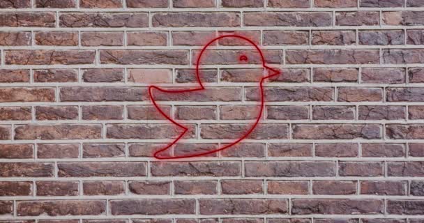 Animación Brillante Icono Pájaro Neón Pared Ladrillo Concepto Redes Sociales — Vídeo de stock