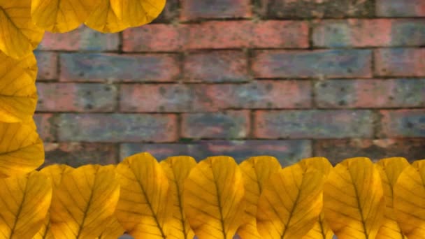 Danksagungstext Und Rahmen Aus Herbstblättern Vor Backsteinmauer Hintergrund Erntedankfest Und — Stockvideo