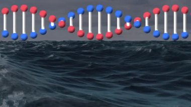 Deniz manzarası üzerinde DNA iplikçiklerinin canlandırılması. küresel bilim, dijital arayüz, teknoloji ve ağ konsepti dijital olarak oluşturulmuş video.