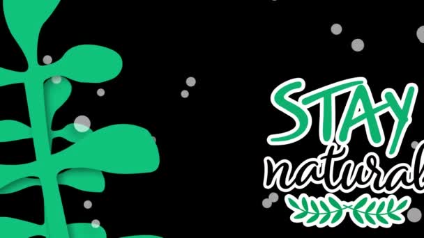 Animation Des Natürlichen Bleibens Auf Schwarzem Hintergrund Umwelt Nachhaltigkeit Ökologie — Stockvideo