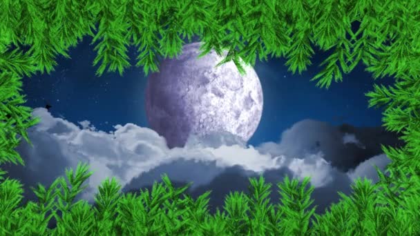 雪橇上的桑塔爪上的绿树分枝在夜空中被驯鹿在月亮的映衬下牵引着 圣诞节的庆祝和庆祝概念 — 图库视频影像