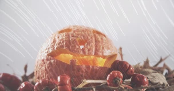 Bílé Světelné Stopy Padající Přes Halloween Vyřezávané Strašidelné Dýně Bílém — Stock video