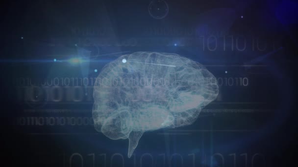 Rede Conexões Sobre Cérebro Humano Processamento Dados Codificação Binária Contra — Vídeo de Stock