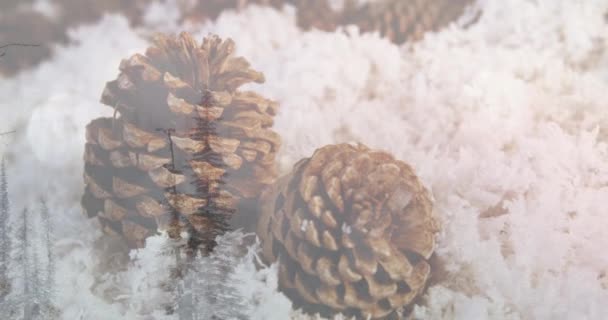 Animación Del Paisaje Invernal Sobre Nieve Conos Navidad Tradición Concepto — Vídeos de Stock