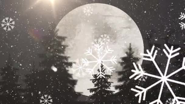雪の結晶は 夜空の月に対して反逆者達によって引っ張られていく雪の中で サンタクラスの上空に落下します クリスマス フェスティバルとお祝いのコンセプト — ストック動画