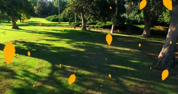 Digitale Komposition Mehrerer Herbstblätter Die Gegen Die Luftaufnahme Des Parks — Stockvideo