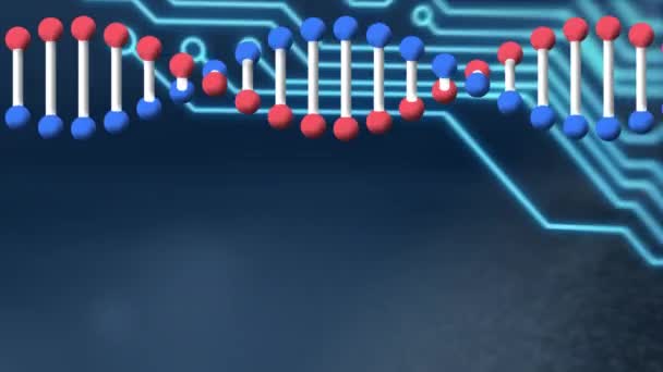 Animering Spinning Dna Tråd Över Datorkretskort Vetenskap Databehandling Och Digitalt — Stockvideo