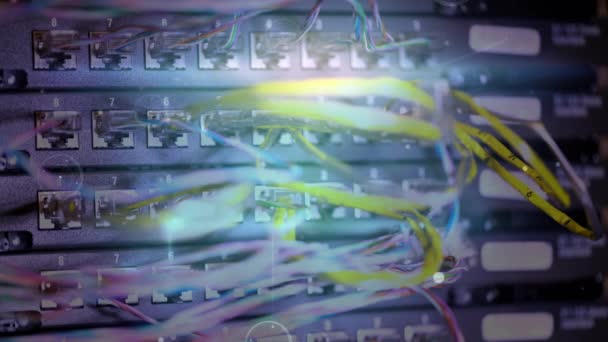 Animatie Van Het Netwerk Van Verbindingen Computerserver Hardware Wereldwijde Netwerken — Stockvideo