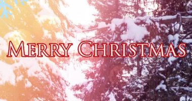 Kış manzarası boyunca mutlu noel mesajlarının animasyonu. Noel, kış, gelenek ve kutlama konsepti dijital olarak oluşturulmuş video.