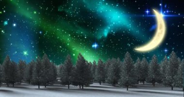 Noel 'de ağaçlar, ay ve gökyüzü ile birlikte kış manzarasının animasyonu. Noel, gelenek ve kutlama konsepti dijital olarak oluşturuldu.