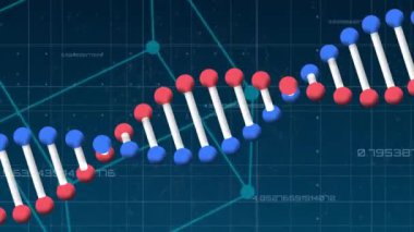 DNA iplikçiklerinin bağlantı ağı üzerinden animasyonu. küresel bilim, bağlantılar, veri işleme ve dijital arayüz kavramı dijital olarak oluşturulmuş video.