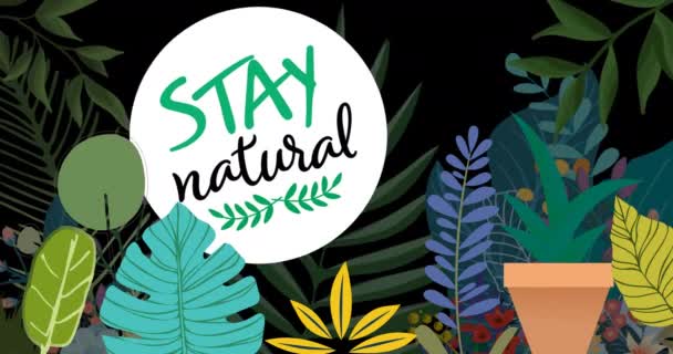 Animation Rester Naturel Cercle Sur Les Plantes Sur Fond Noir — Video