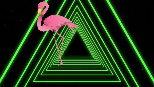 Animation Pink Flamingo Neon Triangles Black Background Nature Pattern Colour — Stock Video