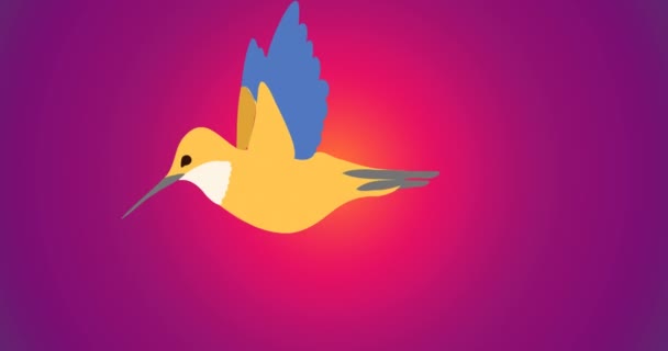 Animation Des Vogels Auf Violettem Hintergrund Natur Muster Farbe Und — Stockvideo