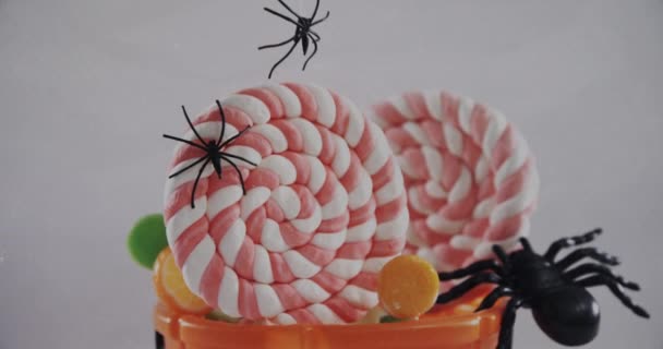 Arañas Cayendo Cubo Calabaza Halloween Lleno Caramelos Sobre Fondo Blanco — Vídeo de stock