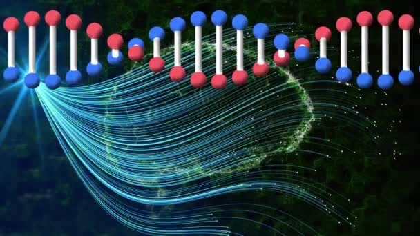 Animação Fita Dna Cérebro Humano Digital Sobre Linhas Azuis Fundo — Vídeo de Stock