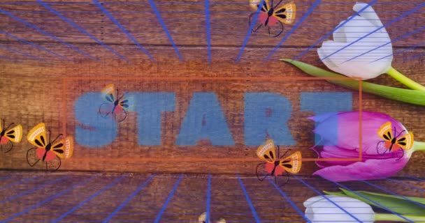 Анимация Старта Цифровом Абстрактном Пространстве Бабочками Тюльпанами Компьютерная Игровая Технологическая — стоковое видео