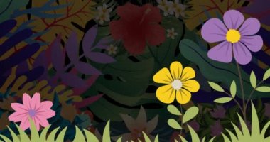 Siyah arka planda açan çeşitli çiçeklerin animasyonu. çevre, sürdürülebilirlik, ekoloji, yenilenebilir enerji, küresel ısınma ve iklim değişikliği farkındalığı.