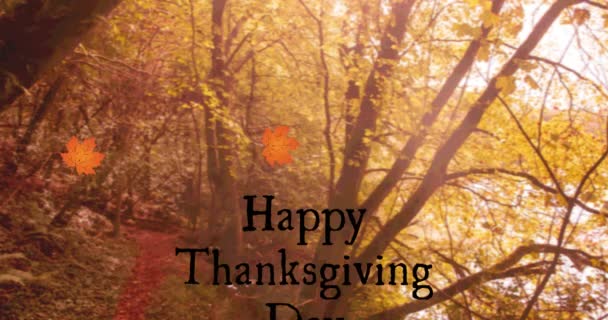 幸せな感謝祭の日のテキストと秋のカエデのデジタル組成は 森林に対して浮動葉 感謝祭と秋の季節のコンセプト — ストック動画