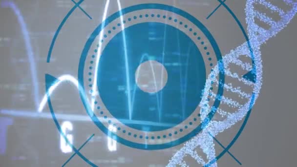 Dna结构旋转和心率监测与蓝色圆形扫描仪在灰色背景下 医学研究和科学技术概念 — 图库视频影像