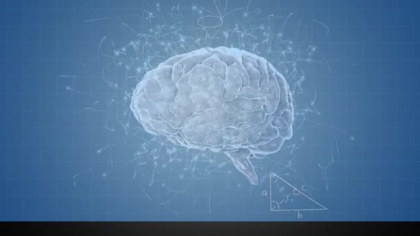 人間の脳のアニメーションは 青色の背景に数学方程式を回転させます 学習の概念をデジタルで生成し — ストック動画