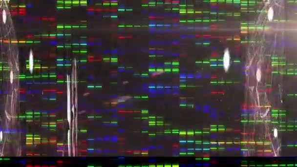 Animación Rectángulos Multicolores Parpadeantes Flotando Sobre Redes Conexiones Redes Globales — Vídeo de stock