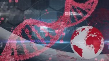 Tıbbi veri işleme ve kürede dönen DNA iplikçiklerinin animasyonu. küresel bilim, dijital arayüz ve veri işleme kavramı dijital olarak oluşturulmuş video.