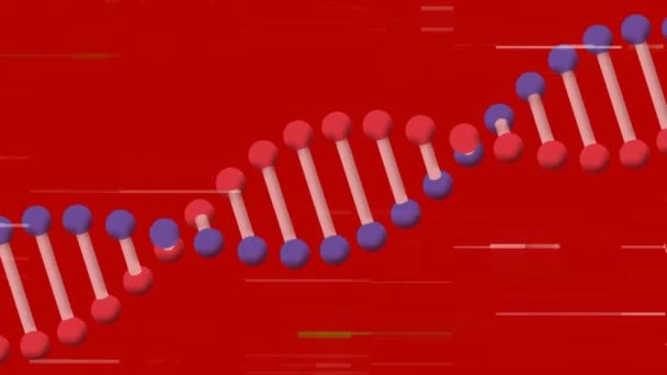 Κινούμενα Σχέδια Παρεμβολών Και Σκέλος Dna Κόκκινο Φόντο Παγκόσμια Έννοια — Αρχείο Βίντεο