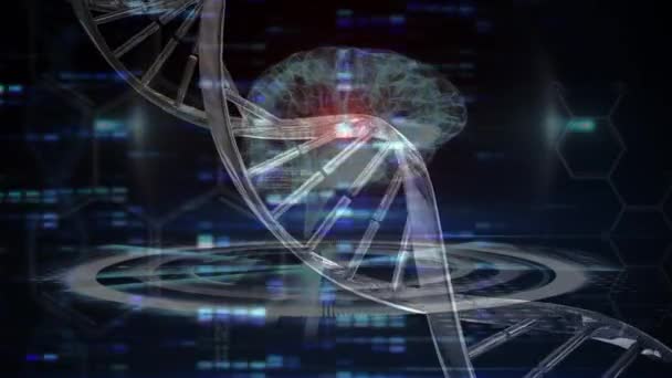 Animatie Van Dna Streng Bewegende Kolommen Digitale Hersenen Mondiale Wetenschap — Stockvideo
