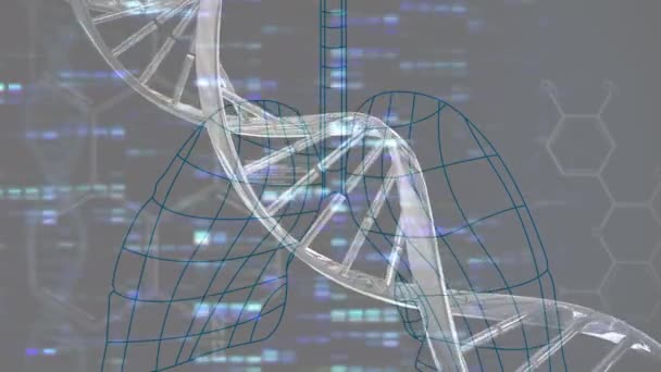 Animazione Del Filamento Del Dna Elaborazione Dati Polmoni Digitali Scienza — Video Stock