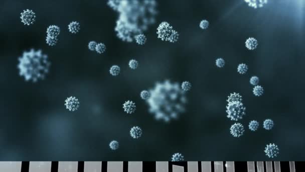 Siyah Arka Planda Yüzen Birden Fazla Virüs Hücresinin Animasyonu Küresel — Stok video