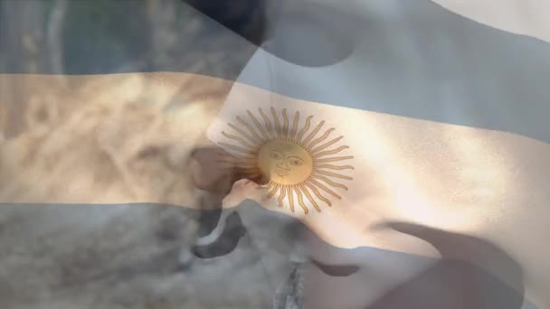 Анимация Флага Аргентины Над Разнообразными Солдатами Мужского Пола Армия Гражданская — стоковое видео