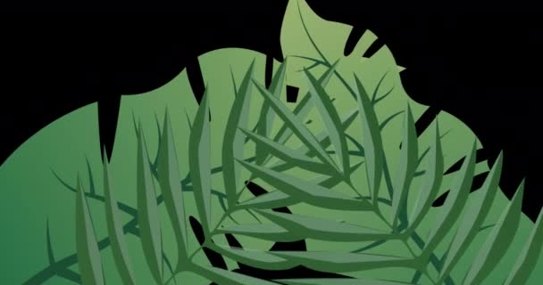 Animace Listů Plovoucí Černé Pozadí Životní Prostředí Udržitelnost Ekologie Obnovitelná — Stock video